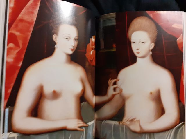 Taschen, Aesthetic Surgery 