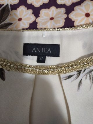Vestido de Antea