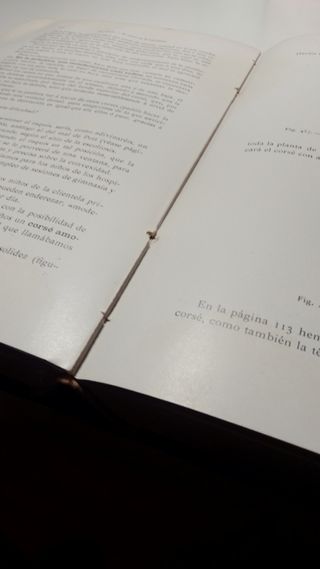 La ortopedia indispensable a los medicos