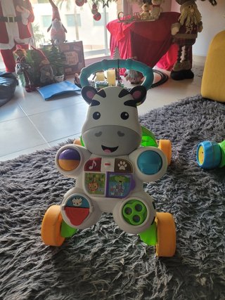 Cebra Fisher price