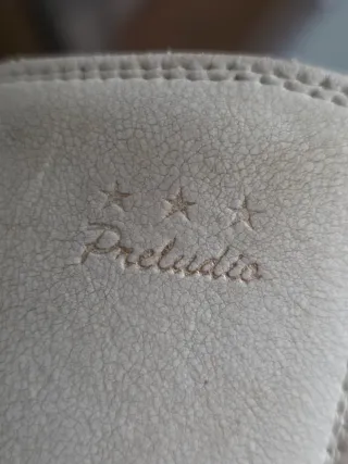 Pattini a rotelle EDEA 240