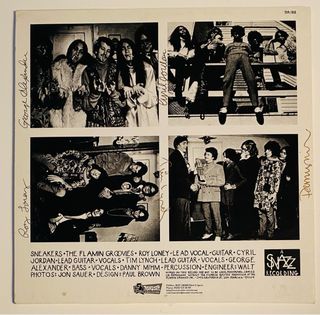 FLAMIN GROOVIES - Disco Vinilo 10"