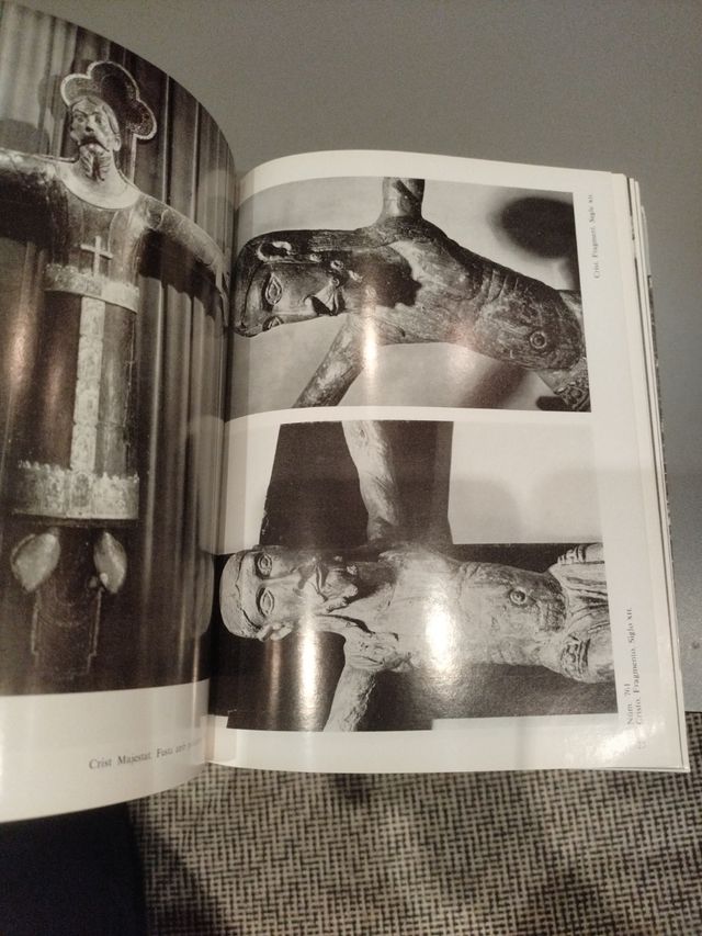 Catalogo del Museo Mares