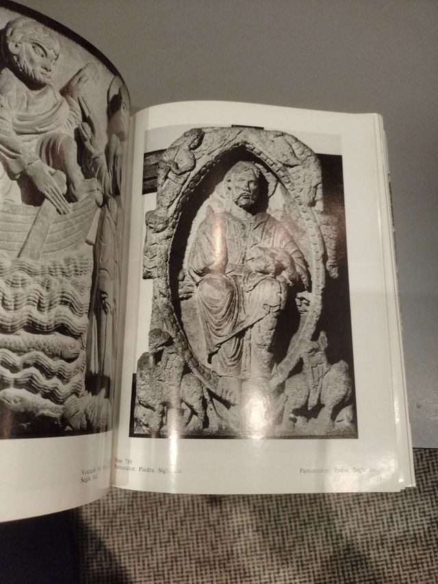 Catalogo del Museo Mares