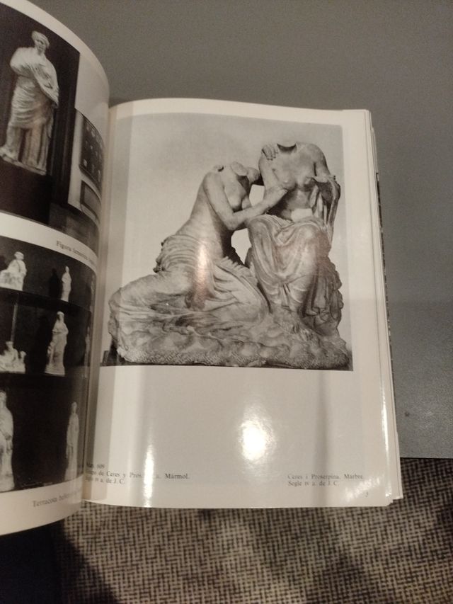 Catalogo del Museo Mares