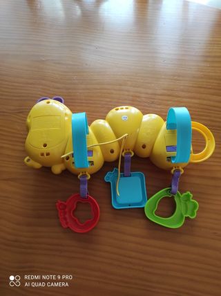 Sonajeros y Gimnasio de Actividades