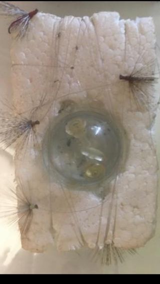 Caña y lote de pesca