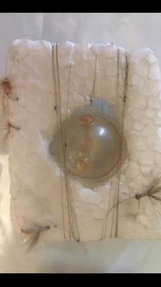 Caña y lote de pesca