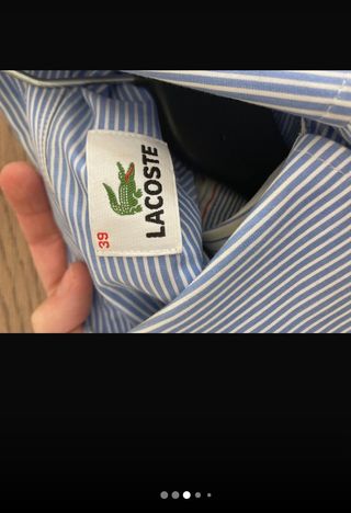 camicia uomo lacoste