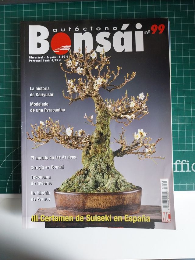 9 Revista bonsai autoctono