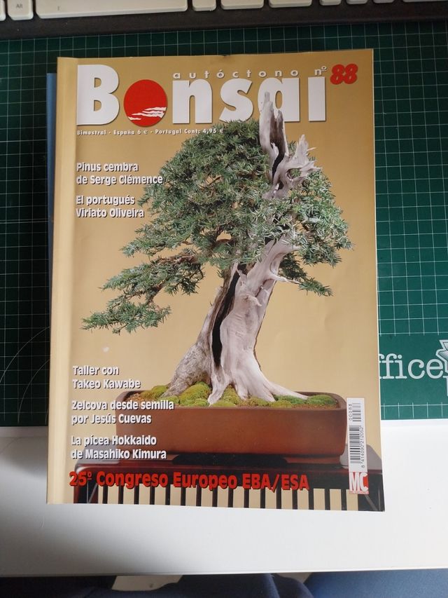 9 Revista bonsai autoctono
