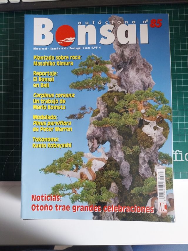 9 Revista bonsai autoctono