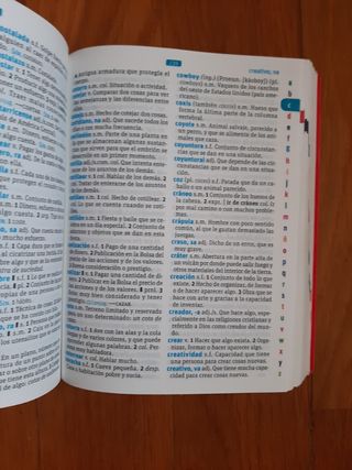 DICCIONARIO ESENCIAL  ESPAÑOL