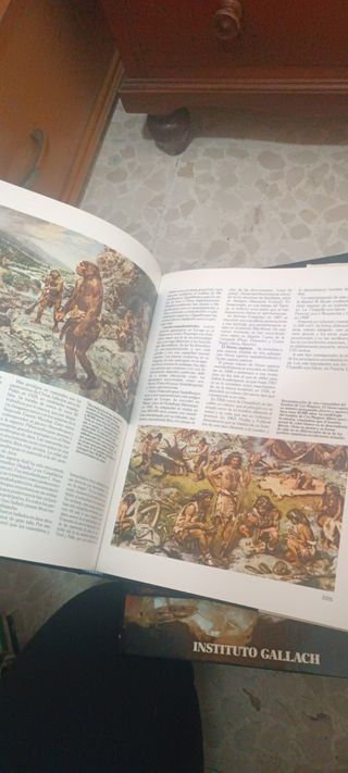 Colección Historia Natural