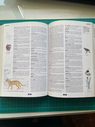 Diccionario ilustrado de la Lengua Española