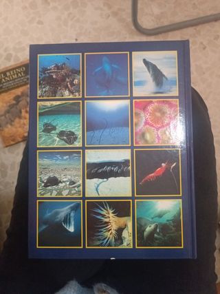 Libro Los Reinos del Mar