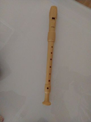 Flauta escolar