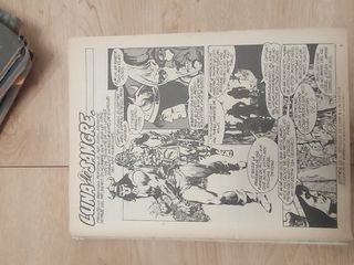 Comics Conan el Bárbaro Relatos Salvajes