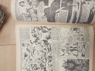 Comics Conan el Bárbaro Relatos Salvajes