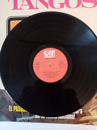 Lote discos de vinilo tangos y pasodoble