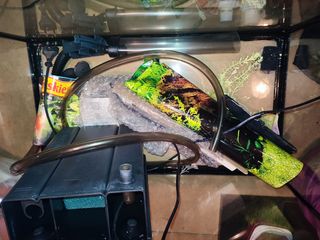 Pecera grande de 63 litros.