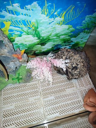 Pecera de 35 litros.