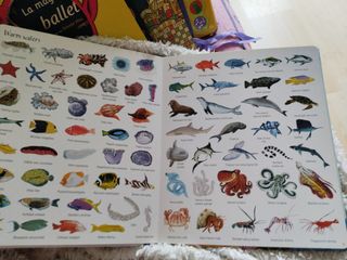 1000 things under the sea.