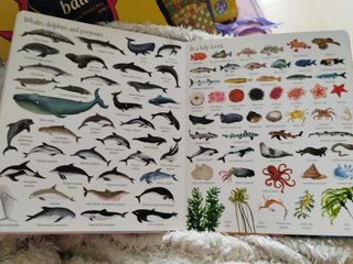 1000 things under the sea.