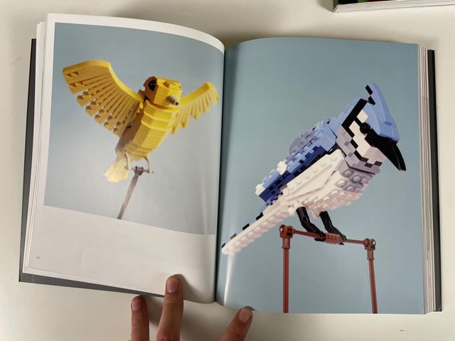 Libros LEGO Pack de Beautiful Lego de Mike Doyle