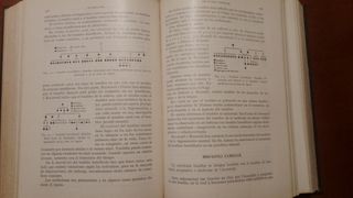 Tratado de Patología médica/terapéutica