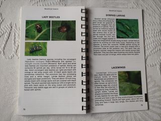 Manuales tabaco Flue-Cured y Burley