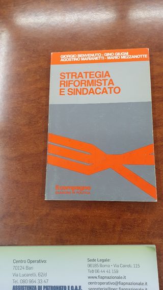 STRATEGIA RIFORMISTA E SINDACATO