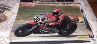 Poster dale singleton