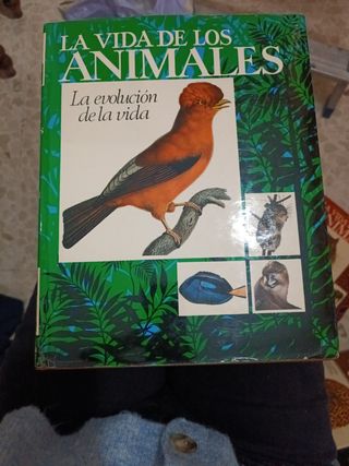 Trilogía La vida de los animales