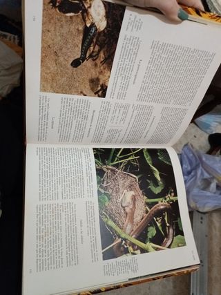 Trilogía La vida de los animales