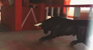 Juguetes taurinos: Plaza de toros