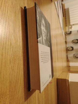 TODO BAJO EL CIELO.Matilde Asensi