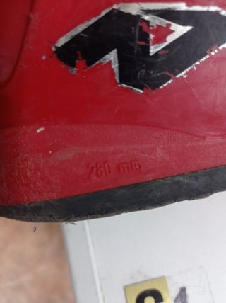 Botas de esquí