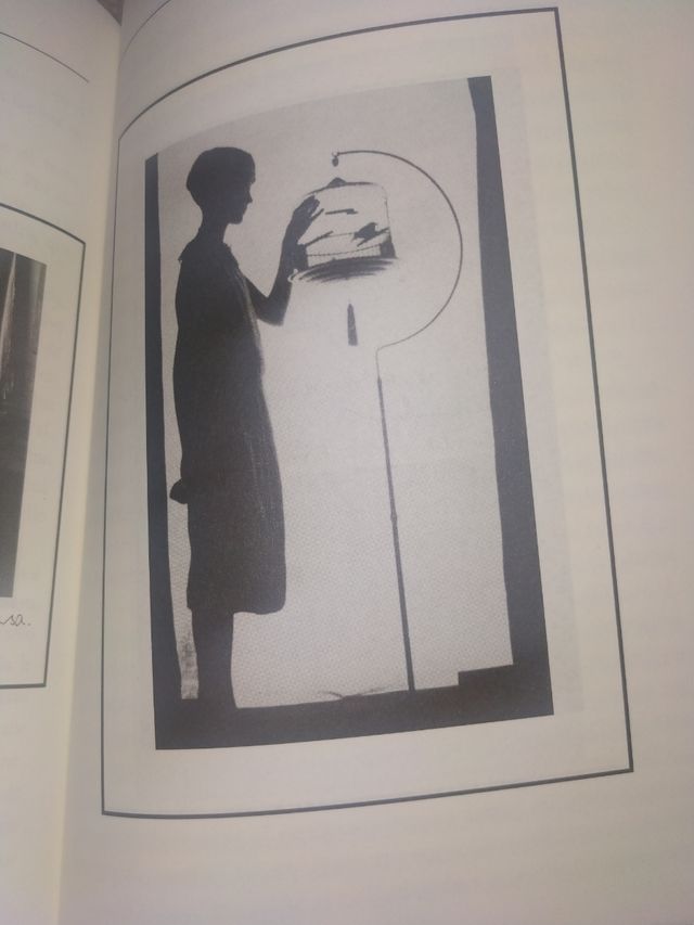 El hogar de Miss Pergrine para niños pec