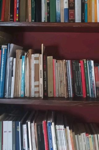 Lotto 30 libri sorpresa