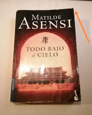 Todo bajo el cielo. Matilde Asensi.