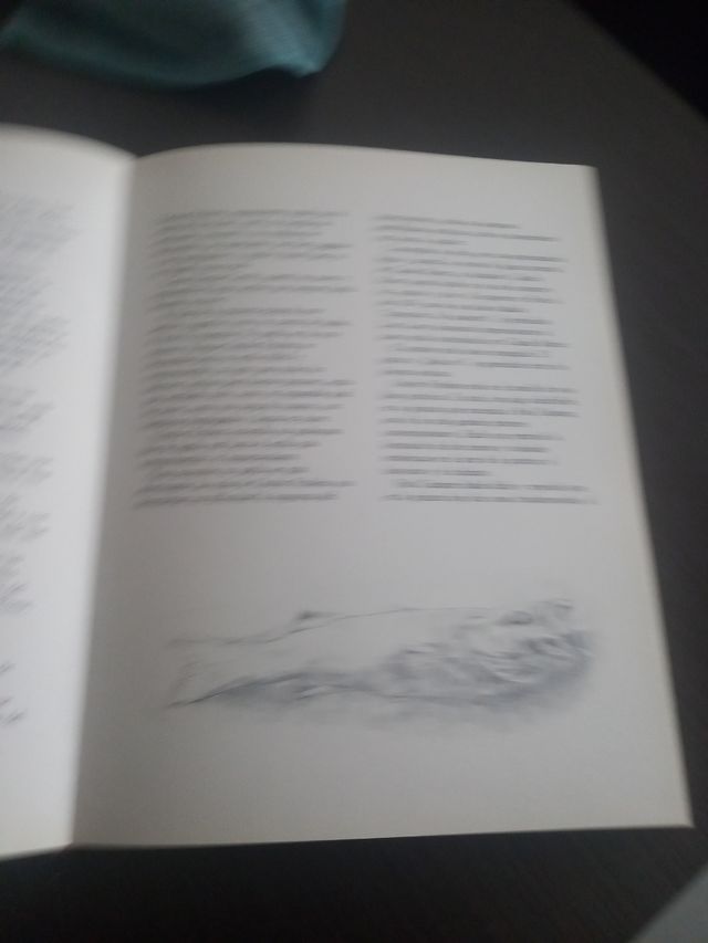 Libro de arte