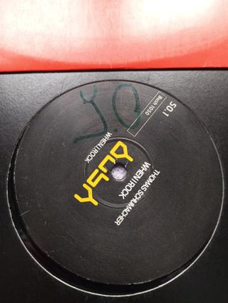 Lote 2 vinilos timo maas & Thomas Schumacher bush