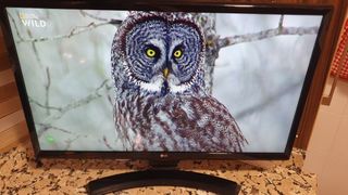 Smart TV Monitor LG 24MT49S-PZ