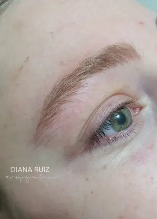 Microblading y Micropigmentación.