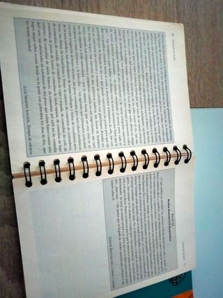 Lengua Bachiller y universidad