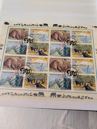 Sellos Naciones unidas