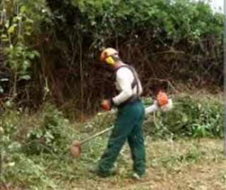 Jardinero economíco