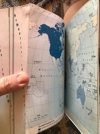 Diccionario Cambridge Pocket