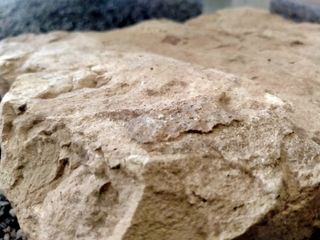 LADRILLO(LATER)ROMANO TIPO LYDIUS